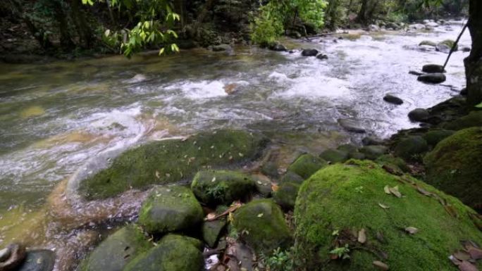 苔藓岩石附近的森林溪流