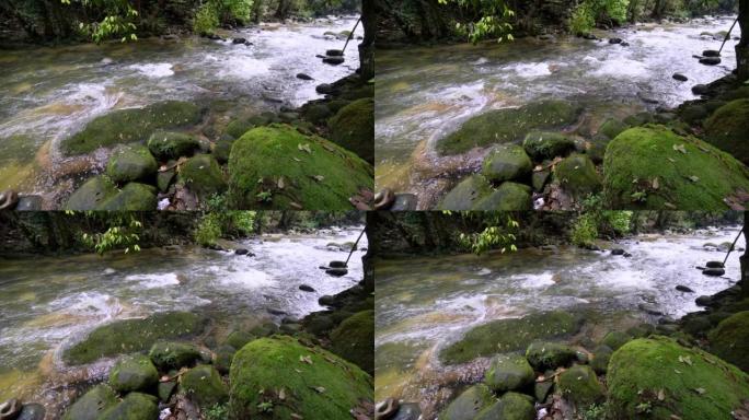 苔藓岩石附近的森林溪流