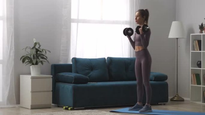 日常家庭锻炼，年轻的运动女子白天在客厅用哑铃训练，现代室内的运动员肖像