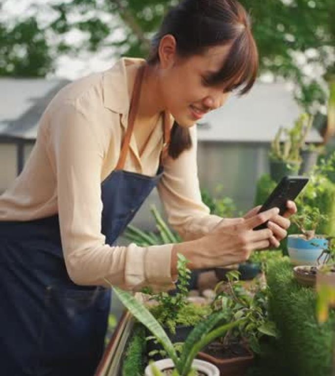 女人给小仙人掌拍照