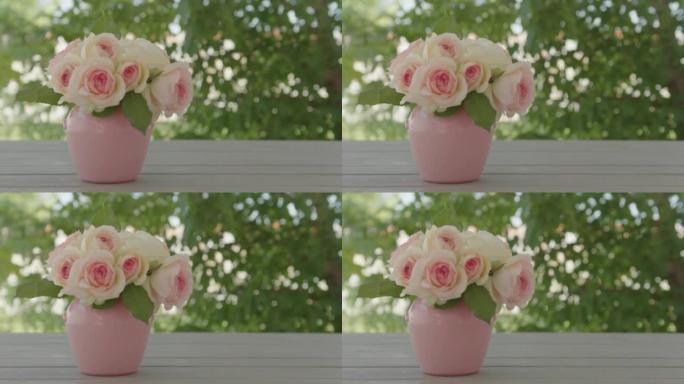 伊甸园玫瑰品种的美丽粉红玫瑰 (Pierre de Ronsard) -特写。选择性聚焦。