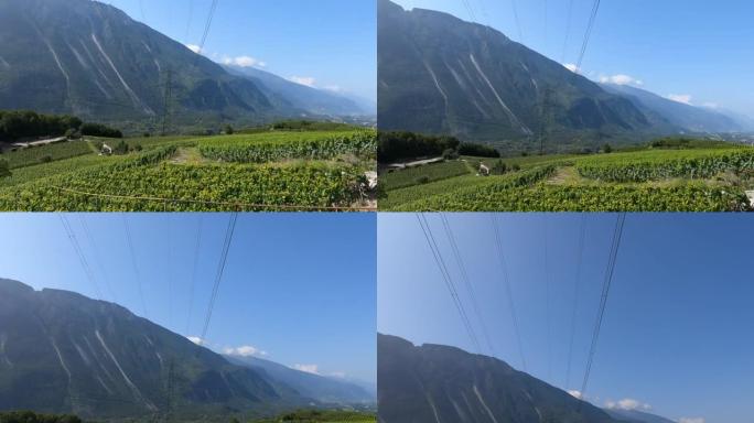 葡萄园和山脉上方电力线的风景