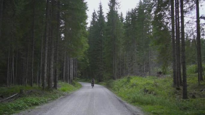 两名骑自行车的人沿着森林中的一条路朝着相机骑行