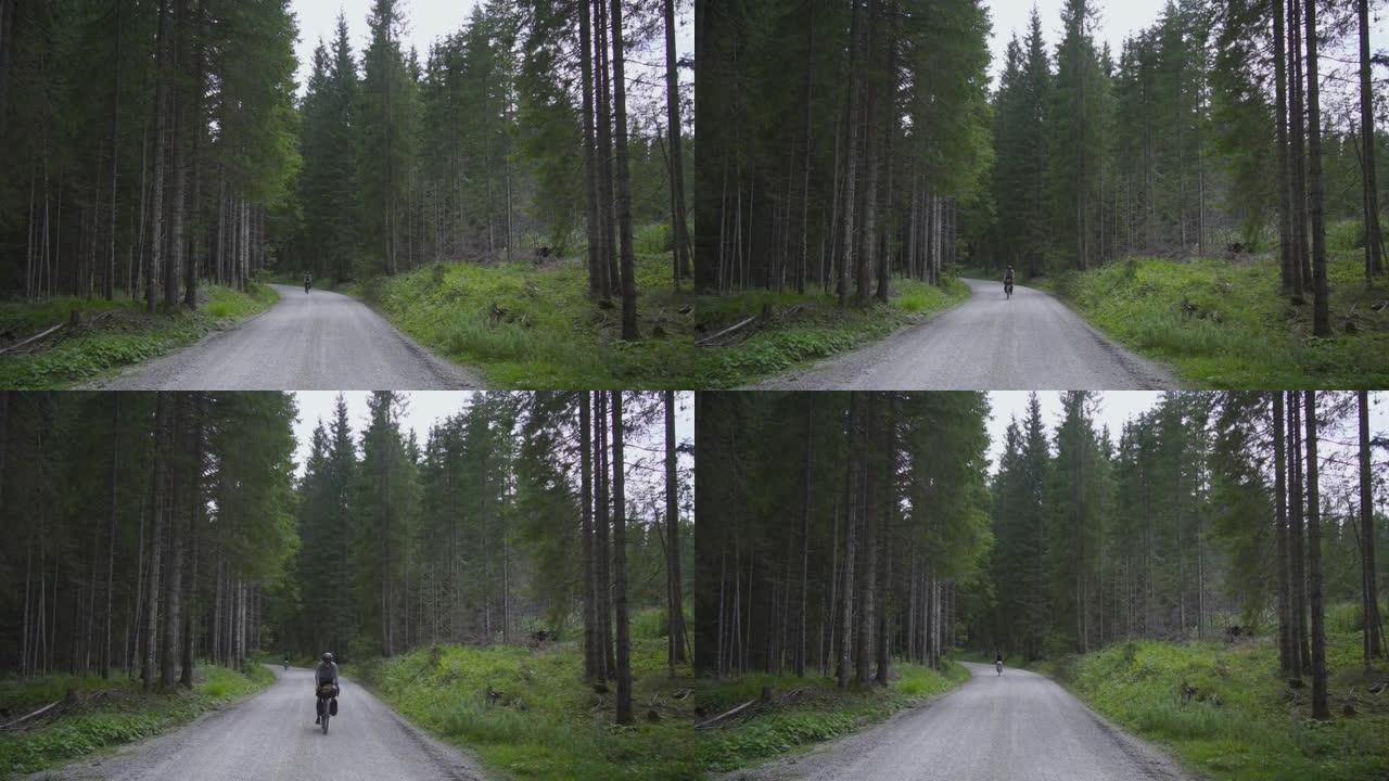 两名骑自行车的人沿着森林中的一条路朝着相机骑行