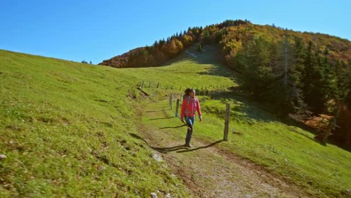 CS女徒步旅行者走在阳光明媚的山路上