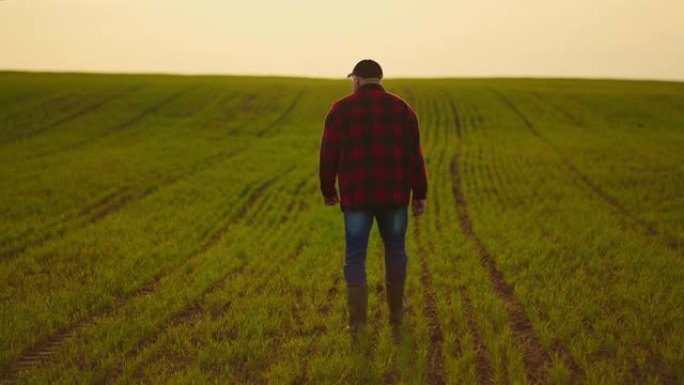 慢动作拍摄后，拖拉机农夫在日落时分穿过田野的肖像