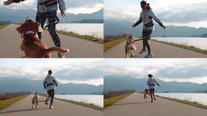 年轻的女性在早上慢跑时与小猎犬鬼混