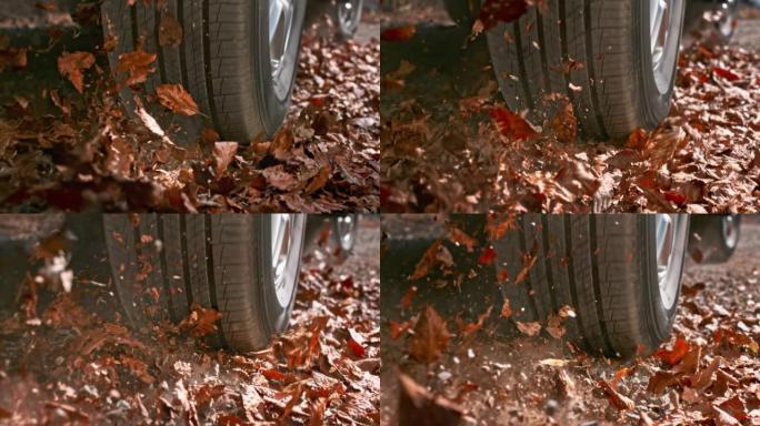 SLO MO TS汽车轮胎在树叶覆盖的沥青路面上转弯