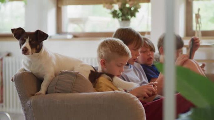 在家放松。男孩在智能手机上玩游戏，和可爱的狗坐在一起