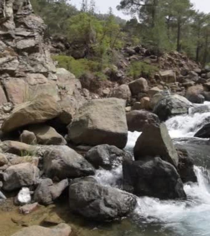 水在岩石清溪的小瀑布上翻滚，背景是山沟沿岸的松树