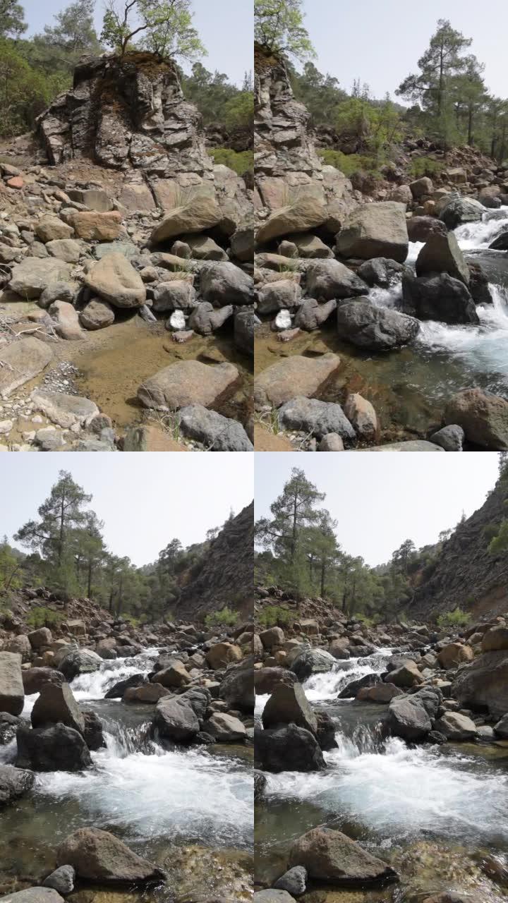 水在岩石清溪的小瀑布上翻滚，背景是山沟沿岸的松树