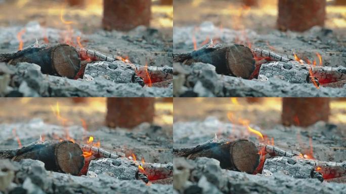在火坑中燃烧的原木的详细镜头