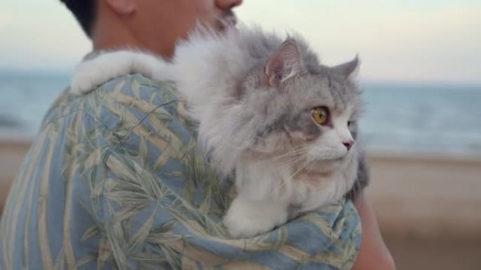 男人带着他的猫在海滩上旅行
