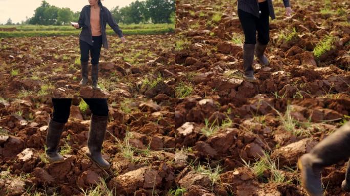 农民和技术，农民在播种前检查土壤。
