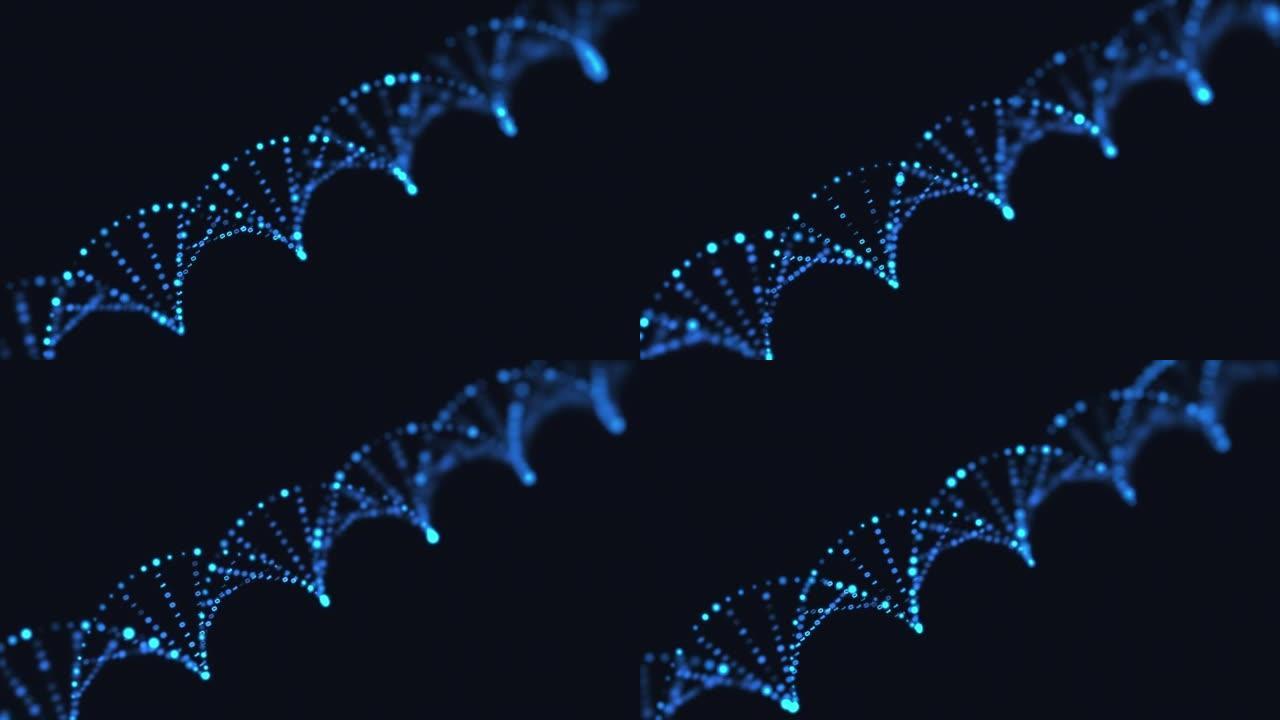 DNA结构中的二进制编码