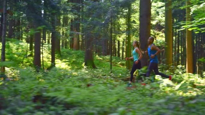SLO MO TS夫妇在阳光明媚的森林里跑步