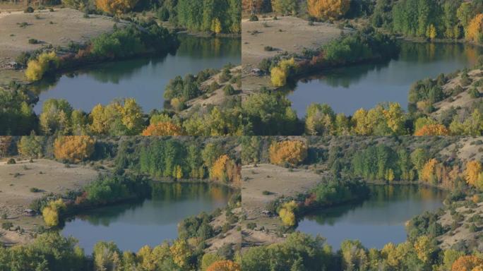 秋天，蒙大拿州天堂谷内，黄石河两岸环绕着戏剧性的金色白杨和杨木树