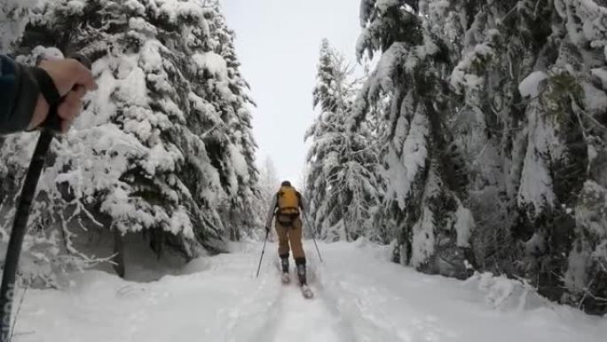 在白雪皑皑的森林中滑雪时的第一人称视角