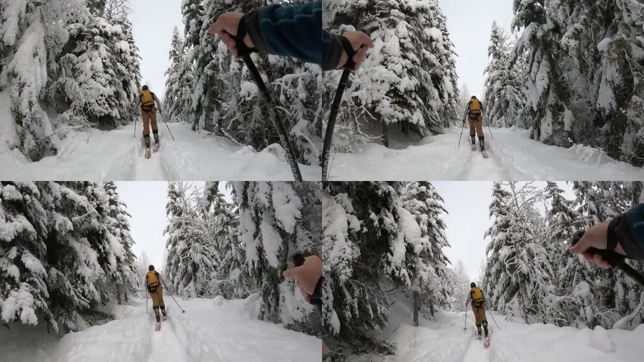 在白雪皑皑的森林中滑雪时的第一人称视角