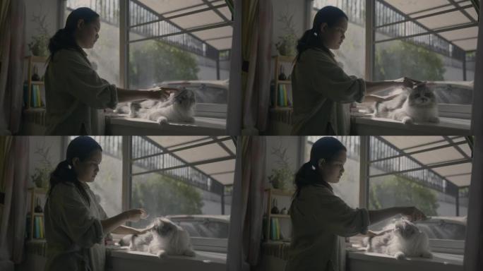 女人在窗台附近梳理她的猫