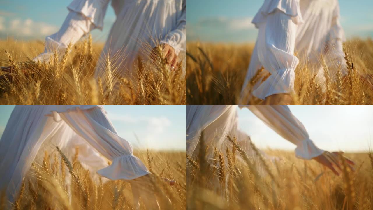 田野里金色的麦穗，穿着白色连衣裙的年轻女子用手抚摸尖刺，特写镜头