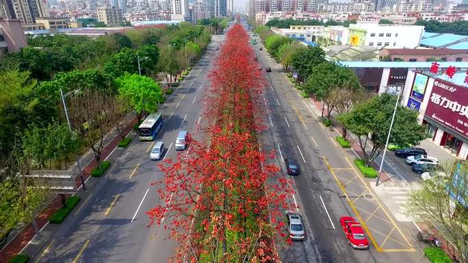 城市绿化 街道绿化 马路绿化 生态城市