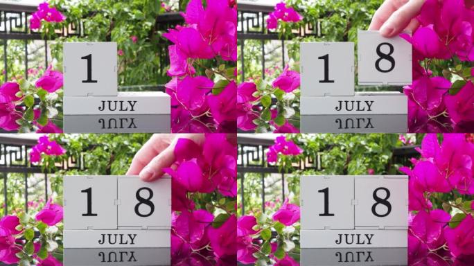 一个木制日历，有一个重要的活动，7月18日在一张有芙蓉花的桌子上，女人的手在日历上设定了日期。将日历