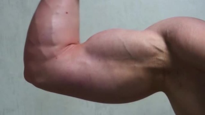 健美运动员弯曲手臂上的二头肌，显示出强壮的肌肉。运动和身体的概念。