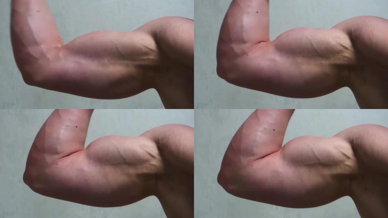 健美运动员弯曲手臂上的二头肌，显示出强壮的肌肉。运动和身体的概念。