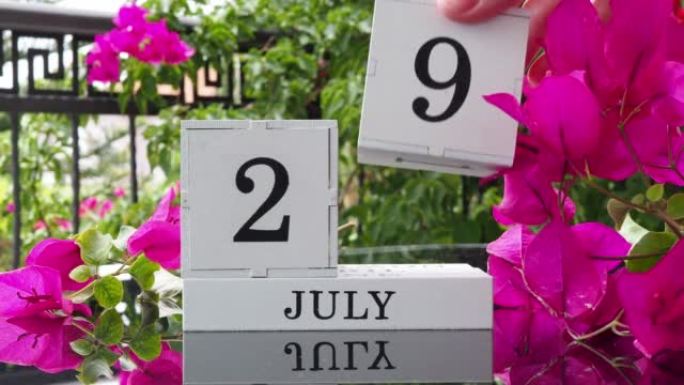 一个木制日历，有一个重要的活动，7月29日在一张有芙蓉花的桌子上，女人的手在日历上设定了日期。将日历