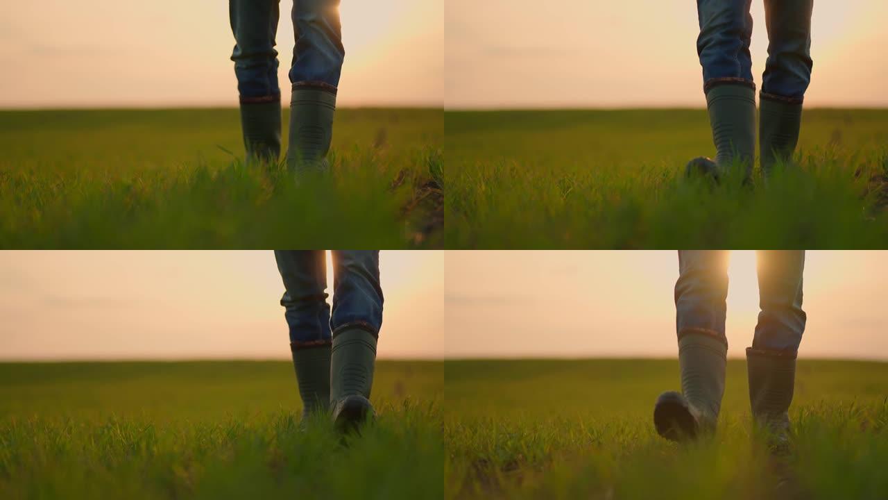 日落时分，农夫靴子的慢动作特写镜头穿过田野