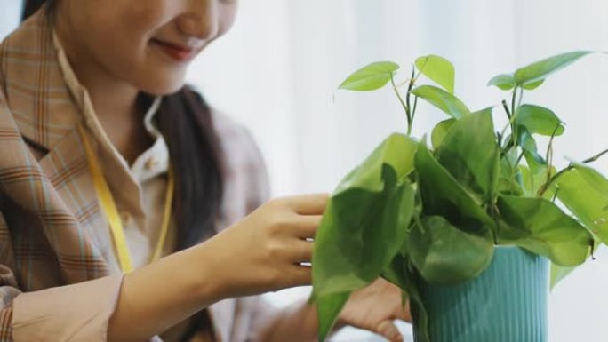 快乐的女商人在办公室工作时喜欢和小植物在一起。