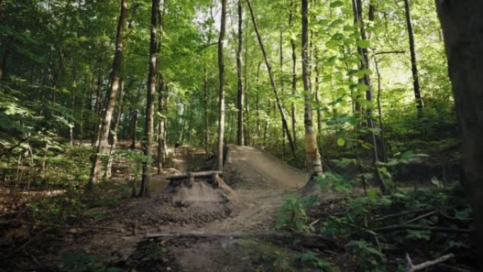 Zoom camera是在阳光明媚的森林中拍摄的电影，一名骑山地自行车的专业极限自行车手在森林中加速