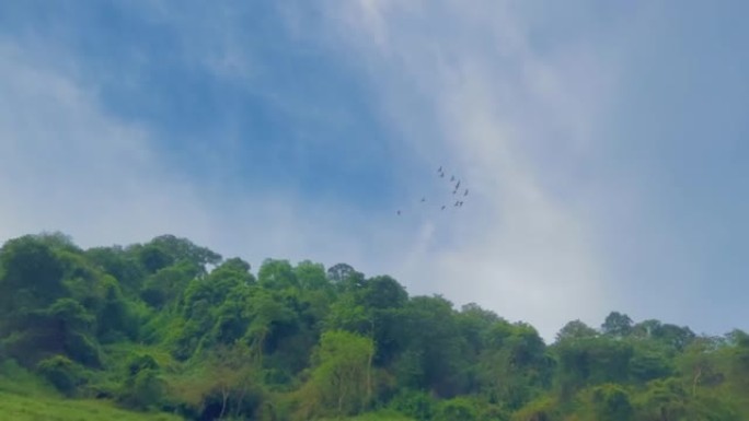 群鸟在天空中飞舞，云彩自然景观