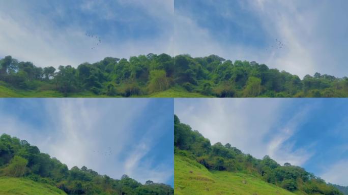 群鸟在天空中飞舞，云彩自然景观