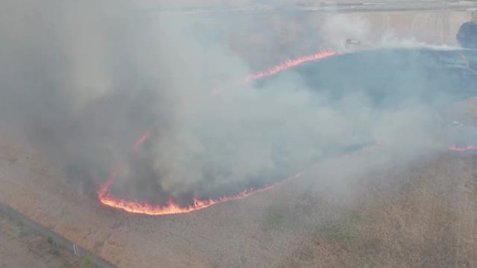 农田上的大火。谷物着火了，全球变暖危机和粮食短缺问题。