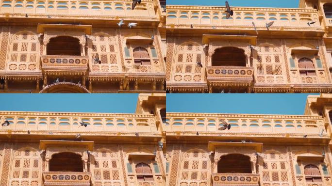在印度拉贾斯坦邦Jaisalmer的Jaisalmer堡垒的古老雕刻窗户前飞行的鸽子的慢动作镜头。鸽