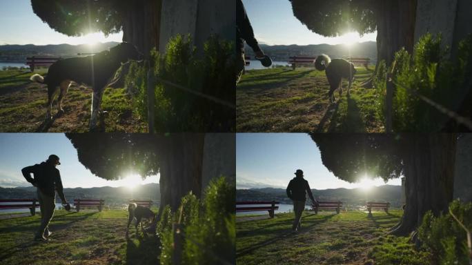 男子在公园里walk狗，俯瞰日落时的湖