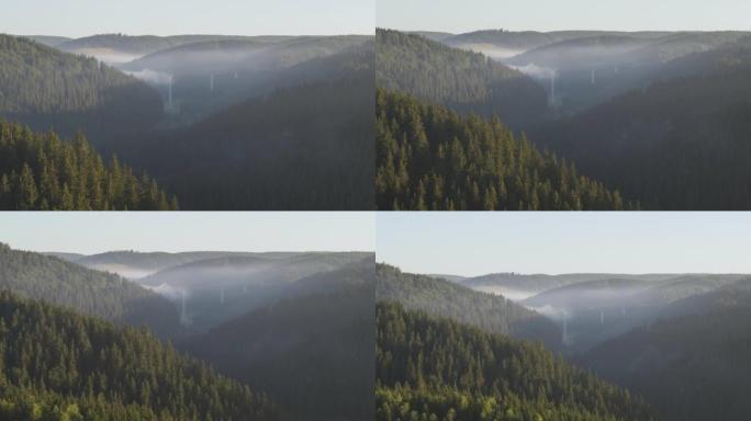 空中无人机拍摄了一座横跨森林山谷的大型桥梁