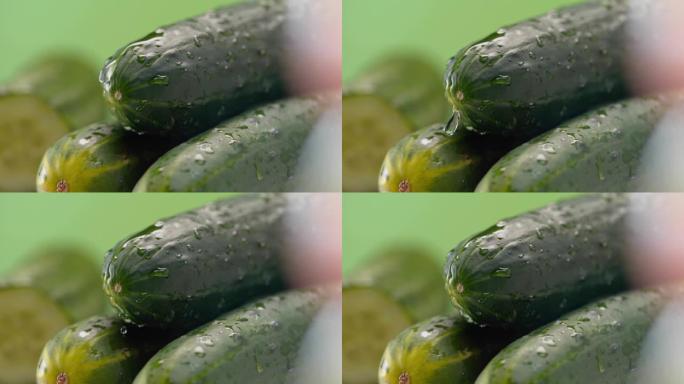 从黄瓜上掉下来的一滴水滴