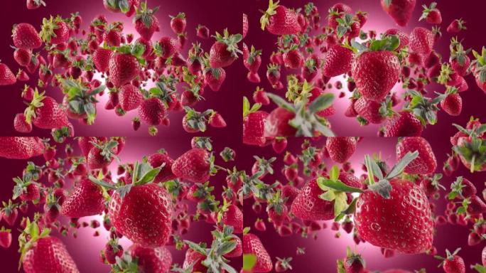 深紫红色背景下的草莓爆发