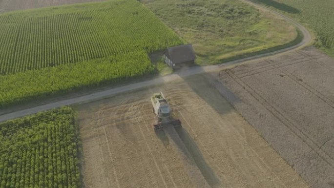 拖拉机犁农业机械在日落时在田间工作