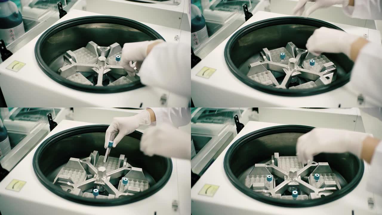 医疗技术人员，使用旋转器进行实验室，血液实验室车间。
