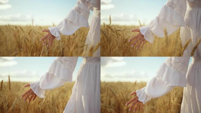 女人手放在黑麦钉上，女士在夏天或秋天在野外抚摸黑麦耳朵，特写镜头