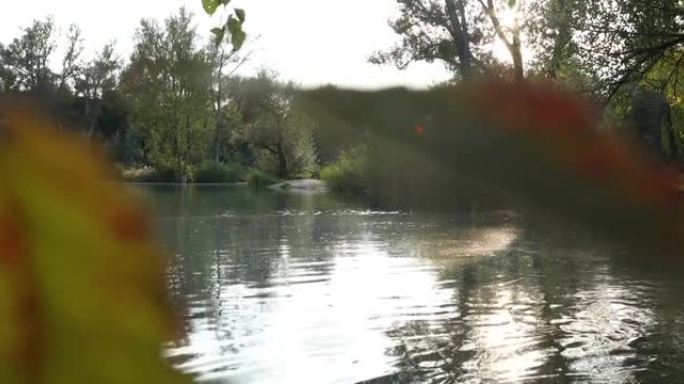 小溪溅入池塘的风景