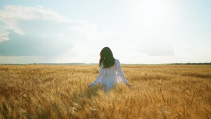 美丽的褐发女子走在金色的黑麦田里，抚摸着谷物作物的穗，耕种和种植谷物