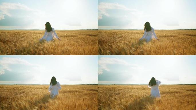 美丽的褐发女子走在金色的黑麦田里，抚摸着谷物作物的穗，耕种和种植谷物
