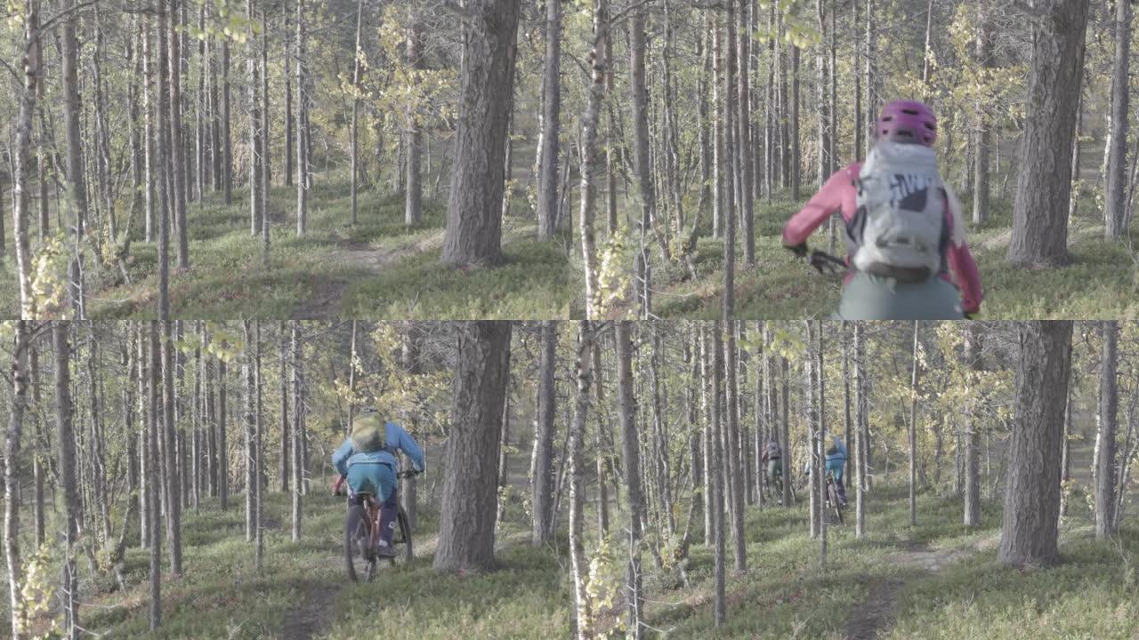 男人和女人骑在山地车上穿过树林中的小径