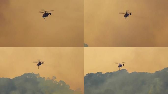 剪影消防直升机载水扑灭森林大火
