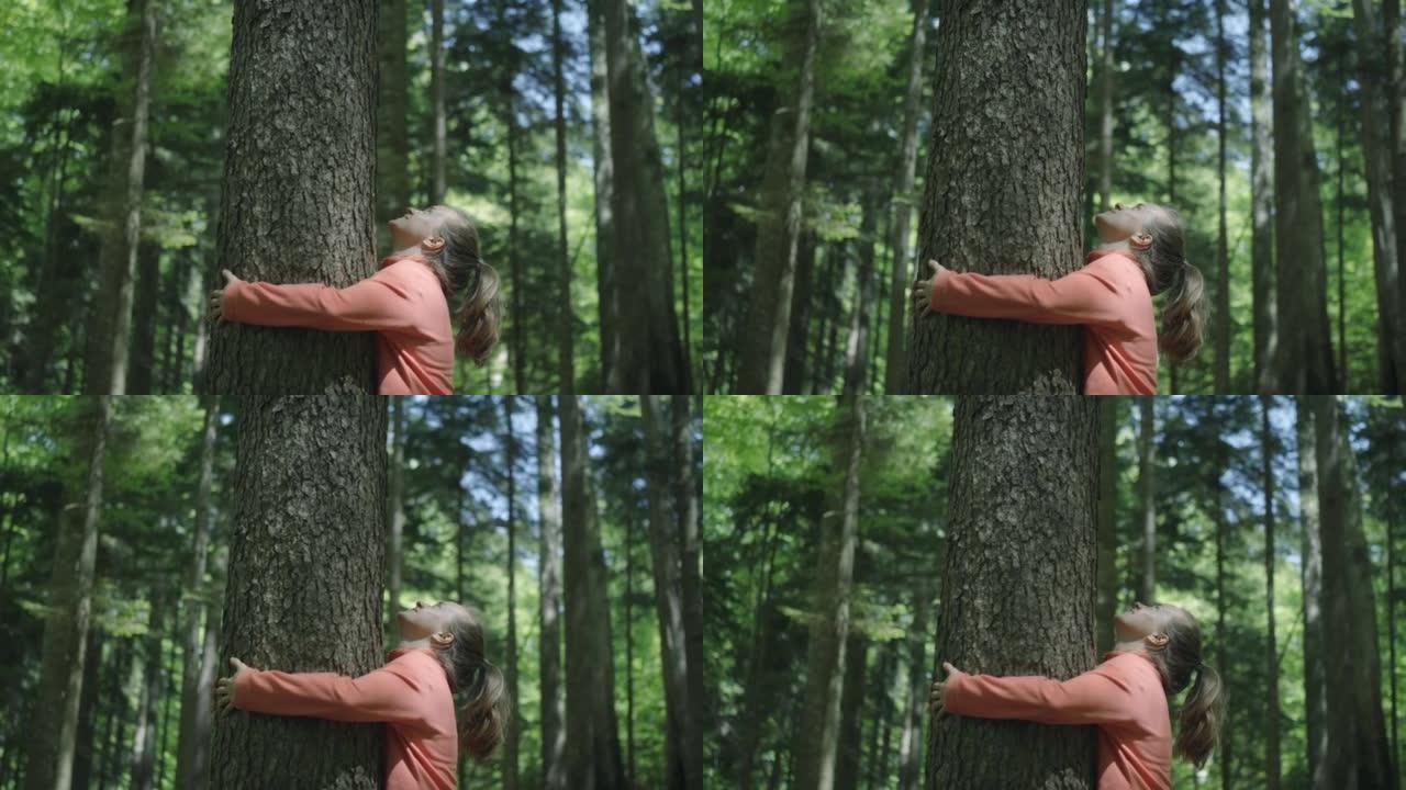 年轻女子拥抱森林中的树，微笑抬头